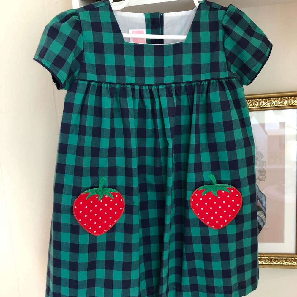 Worn once Will’Beth gingham strawberry dress